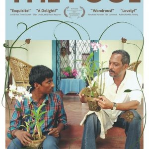 Una seconda versione del poster di The Pool