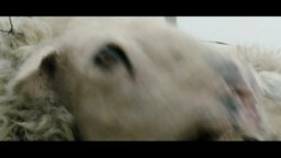 Black Sheep - Trailer Italiano