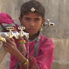 Un'immagine del documentario Flow: For Love of Water