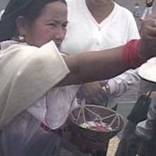 Un'immagine tratta dal documentario Flow: For Love of Water