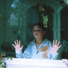 Una sequenza del film Fragile