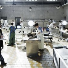 Benoit Magimel in una scena di Resolution 819