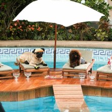 Un'immagine di Beverly Hills Chihuahua