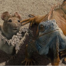 Una bizzarra immagine di Beverly Hills Chihuahua