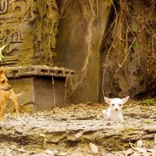 Una scena della commedia Beverly Hills Chihuahua