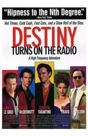 La locandina di Mister Destiny