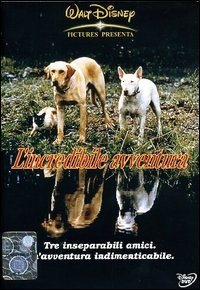 La locandina di L'incredibile avventura