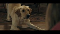 Marley & Me - Trailer