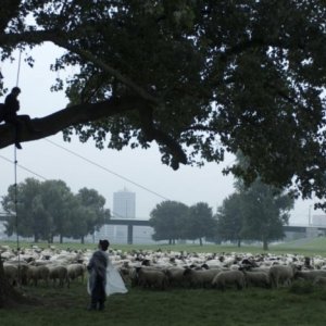 Un'immagine del film Palermo Shooting