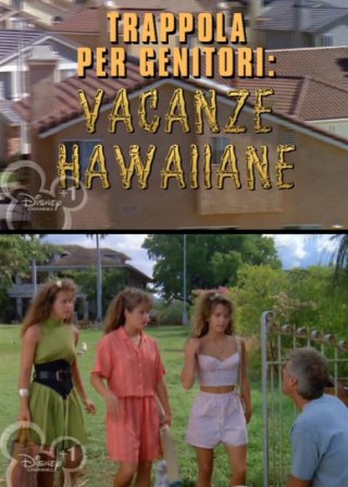 La locandina di Vacanze hawaiane