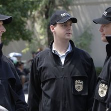 Cote de Pablo, Mark Harmon,  Michael Weatherly e Sean Murray durante una scena dell'episodio 'Collateral Damage' della serie tv NCIS