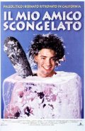 La locandina di Il mio amico scongelato