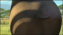 Madagascar 2 - Music Video