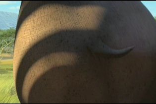 Madagascar 2 - Music Video