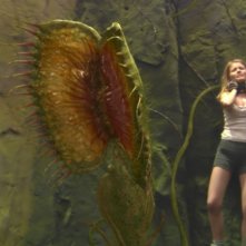 Anita Briem in una scena del film Viaggio al centro della Terra 3D