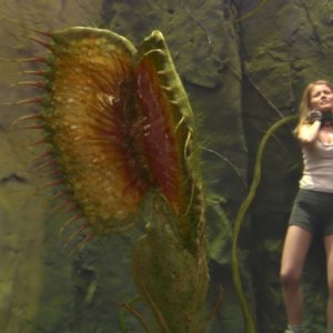 Anita Briem in una scena del film Viaggio al centro della Terra 3D