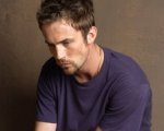 Desmond Harrington, da Dexter a Gossip Girl