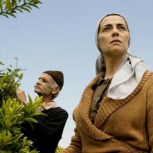 Un'immagine de Il giardino di limoni