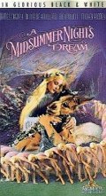 La locandina di Sogno di una notte di mezza estate