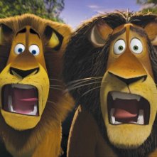 Alex e suo padre Zuba in un'immagine del film Madagascar 2
