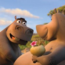 Gli ippopotami Moto Moto e Gloria in un'immagine del film Madagascar 2