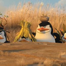 I pinguini del film Madagascar 2