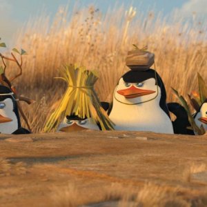 I pinguini del film Madagascar 2