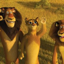 Il leone Zuba, sua moglie e il figlio Alex in un'immagine del film Madagascar 2
