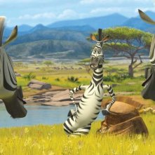 Marty e le altre zebre in un'immagine tratta dal film Madagascar 2