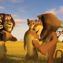 Un'immagine del film Madagascar 2