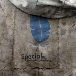 Un'immagine del film Special