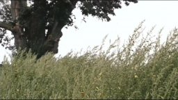 E venne il giorno - Clip 2