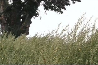 E venne il giorno - Clip 2