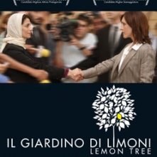 La locandina italiana di Il giardino di limoni