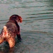 Un immagine del documentario Rumore bianco