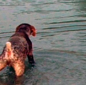 Un immagine del documentario Rumore bianco