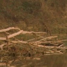 Un immagine di Rumore bianco