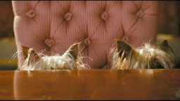 Hotel for Dogs - Trailer 3