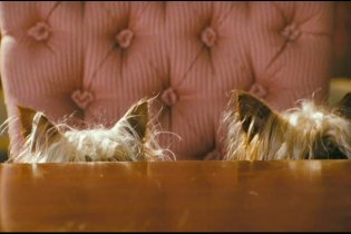 Hotel for Dogs - Trailer 3