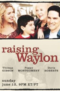 Locandina di I nuovi genitori di Waylon