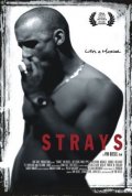 La locandina di Strays