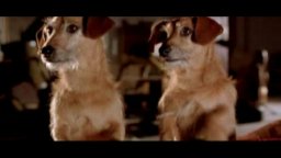 Hotel Bau - Trailer Italiano