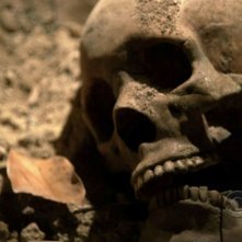 Macabri Resti Nell Episodio 19 Down Della Serie Csi Las Vegas 99867