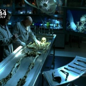 William Petersen con Robert David Hall in un momento dell'episodio ' 19 Down ' della serie CSI