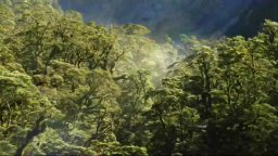 Home - Trailer (2009)