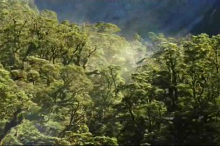 Home - Trailer (2009)