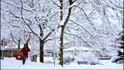 Free Style - Trailer