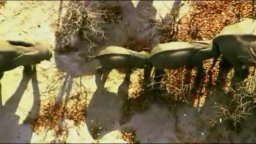 Earth - La nostra terra - Trailer Italiano