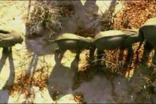 Earth - La nostra terra - Trailer Italiano