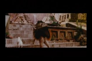 Beverly Hills Chihuahua - Clip 4